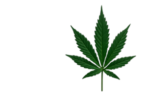 Buy Premium Cannabis in Australia